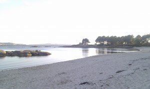 IMAG0260 IMAG0260