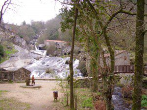 barosa10