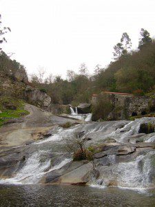 Barosa, Barro. Pontevedra 6 barosa3