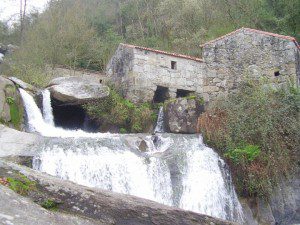 Barosa, Barro. Pontevedra 4 barosa5