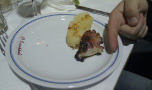 Pulpo