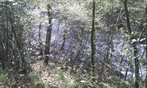 Rio belelle
