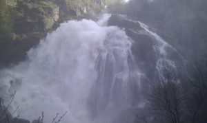Fervenza Belelle
