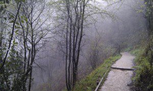 neblina 