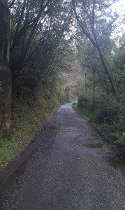 Carretera Belelle