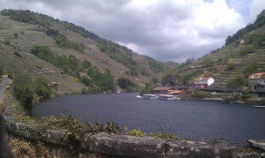 Abaceria O Batuxo