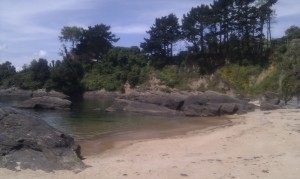 Espiñeiro