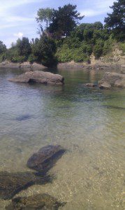 Espiñeiro