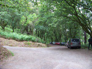 cruce fervenza toxa