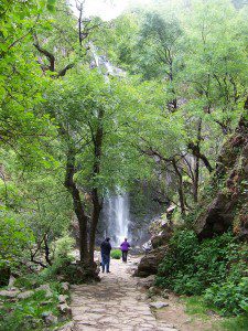 llegado al toxa