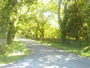 Vereda acceso torres do allo