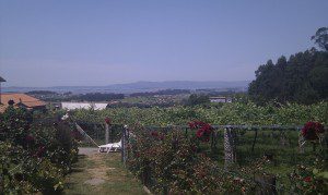 vistas de lar de outeiro