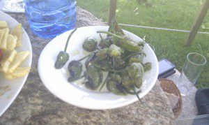 pimietos padron lar outeiro