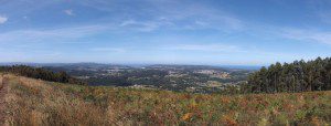 DSCF0550