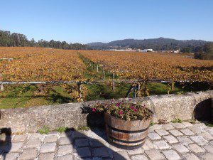 Bodega Gran Bazan