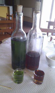 IMAG0666
