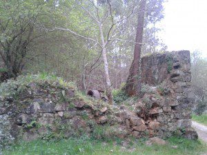 Fervedas de Rus y Entrecruces. Carballo. 11 20140412_203614