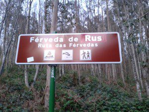 Fervedas de Rus y Entrecruces. Carballo. 1 Ferveda de Rus