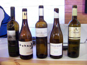 Galicia en catas 2014. Tunel do viño, espirituosos, quesos y miel de Galicia. 6 100_7061