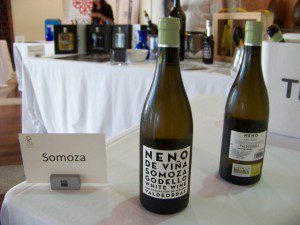 Tunel del vino de Dysbodesa. 4 Neno Viña Somoza