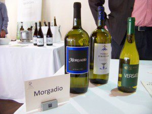 Tunel del vino de Dysbodesa. 5 Morgadio Dysbodesa