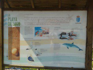 Playa de Lago