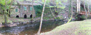 Area recreativa A Cortevella, Baleira. Lugo. 11 A Cortevella