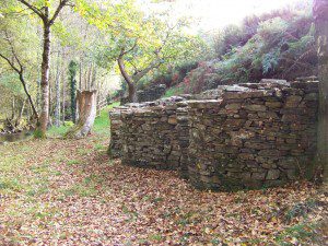 Area recreativa A Cortevella, Baleira. Lugo. 9 A Cortevella