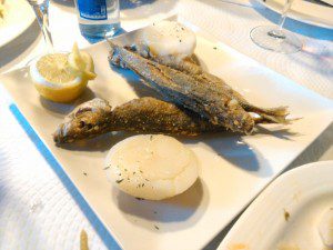 O Son do Miño. Lugar de Ribas-Oza. Teo. A Coruña. 10 O Son do Miño