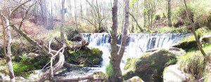 Pozo da Ferida. Viveiro. Lugo. 5 Pozo da Ferida
