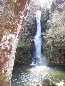 Pozo da Ferida. Viveiro. Lugo. 11 Pozo da Ferida