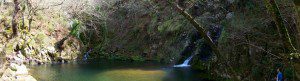 Pozo da Ferida. Viveiro. Lugo. 1 Pozo da Ferida