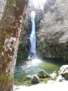Pozo da Ferida. Viveiro. Lugo. 9 Pozo da Ferida