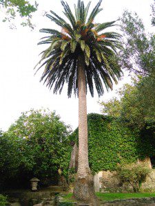 Parque Ibarrola, Montrove. Oleiros. A Coruña. 13 Parque Ibarrola