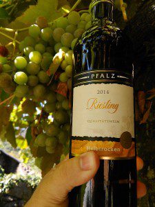 Riesling Halbtrocken 2014 1 Riesling Haltbrocken