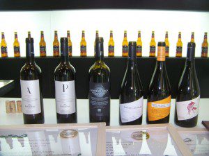 Encuentro de Bloggers, Xantar 2016 . Expourense. 14 100_7871