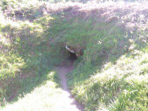 IMG_20160517_182245