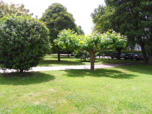 IMG_20160626_145247