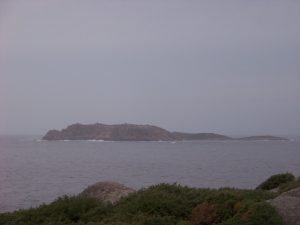 Punta Nariga. Malpica. A Coruña. 22 100_8274