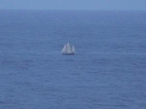 Punta Nariga. Malpica. A Coruña. 28 100_8278