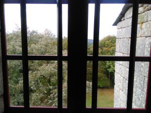 IMG 20161101 164121