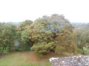 San Paio de Narla, Friol. Lugo. 31 IMG 20161101 164446