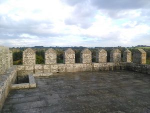 IMG 20161101 170453