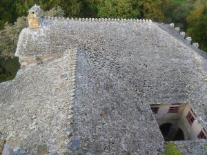 IMG 20161101 170543