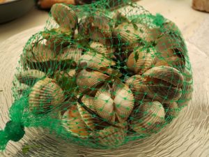 A Horta d'Obradoiro. Santiago de Compostela. 11 IMG 20170429 153322