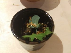 Izakaya Markesa. Santiago de Compostela. 11 IMG 20170601 194709
