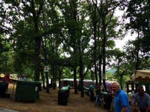 XXXVIII Festa do pemento de Arnoia, Arnoia. Ourense. 29 IMG 20170805 131820