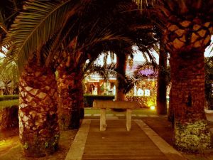 IMG 20171104 175323