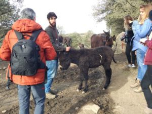 IMG 20180218 161732