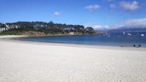 IMG 20190429 WA0047